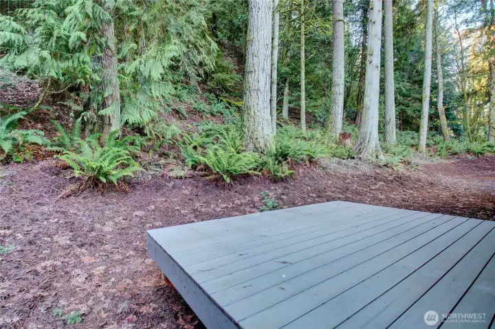 Level rear yard area.  Would be a nice fenced area.