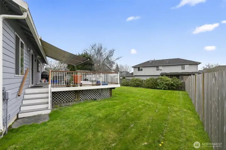 Exterior - Back Yard 2