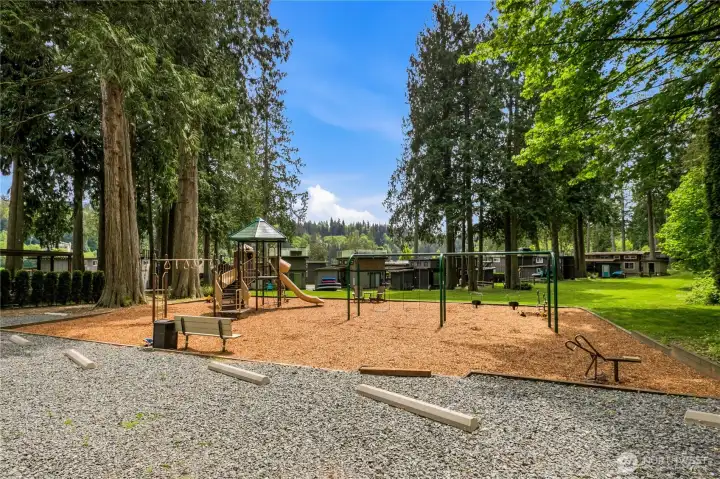 Community playground and open green space provide room for recreation, outdoor play, and enjoying the natural setting. Community playground and open green space provide room for recreation, outdoor play, and enjoying the natural setting.