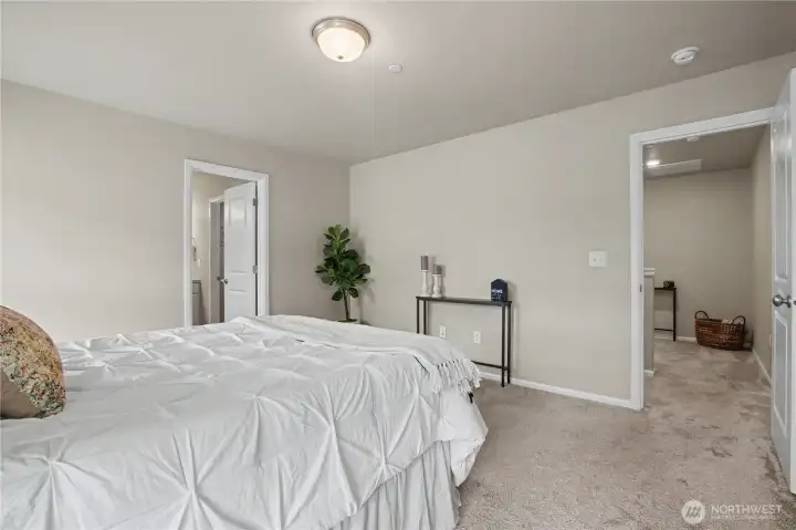 Primary Suite with lots of natural light