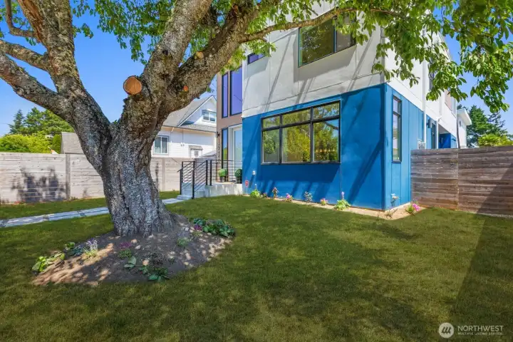 Large lawn, mature tree, and fully fenced outdoor space. Large lawn, mature tree, and fully fenced outdoor space.