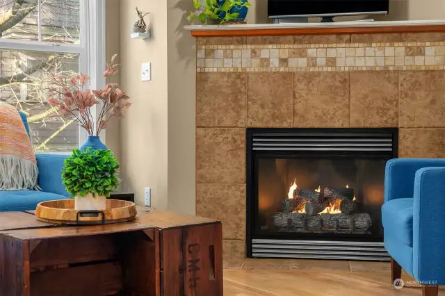 Gas Fireplace