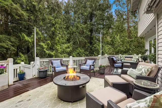 Great Entertaining Deck