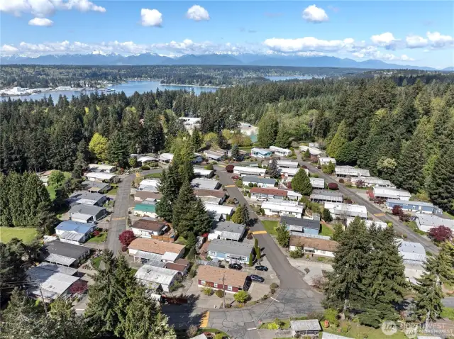 Aerial View of Park