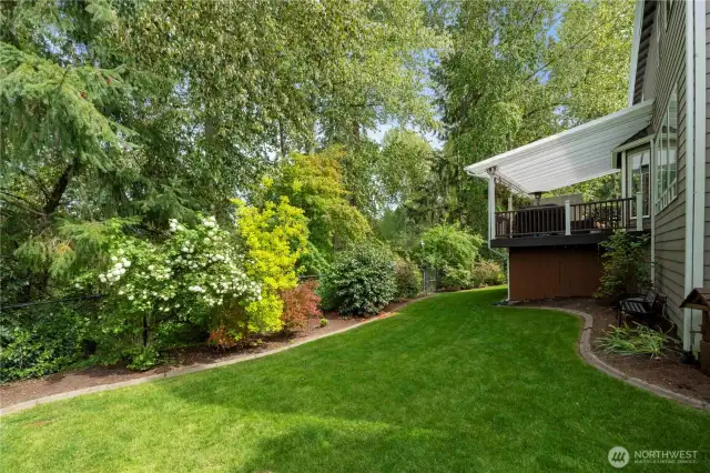 Gardener's delight. Manicured, fenced, and filled with color—this backyard’s got beauty and breathing room.