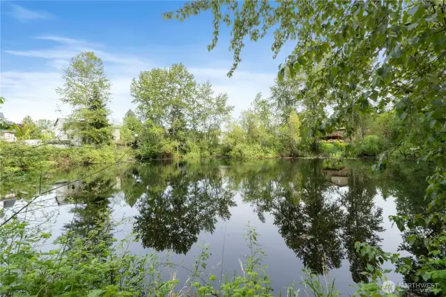 Serenity now! This lush, tree-framed pond is the tranquil backdrop you didn’t know you needed. Nature's playlist included—no subscription required.