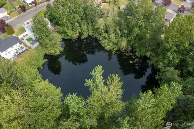 Bird’s-eye bliss. Take in the full expanse of your peaceful private pond—your own slice of waterfront paradise, minus the boat launch.