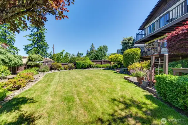 Spacious back yard!
