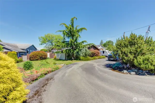 Large circular driveway and nice side yard!