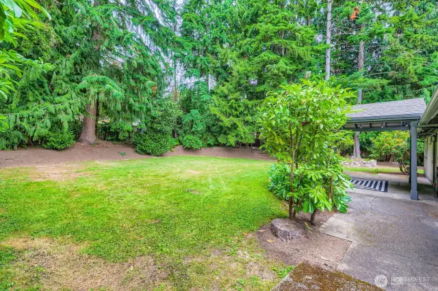A spacious back yard with great entertaining patio