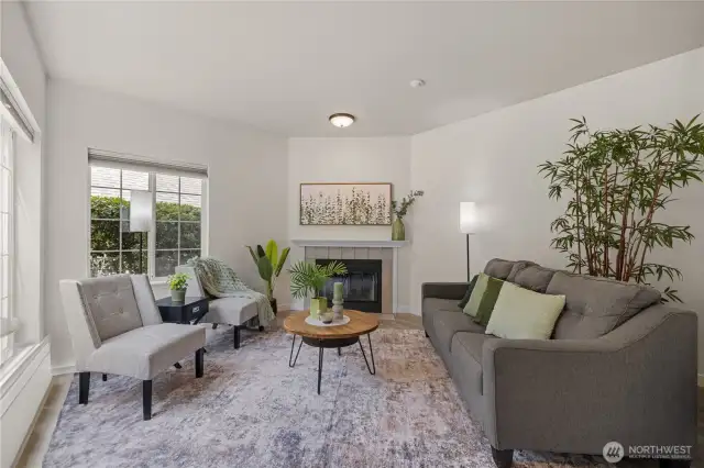 Living room with natural lighting