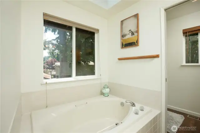 Primary Bathroom tub, window, and skylight.