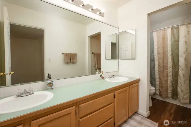 Lower level full bathroom with double-sink vanity and separated tub/toilet area (no door). Includes a built-in medicine cabinet.