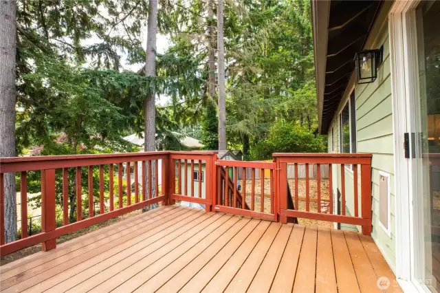 Main level deck with two stairs. Right side stairs has a door.