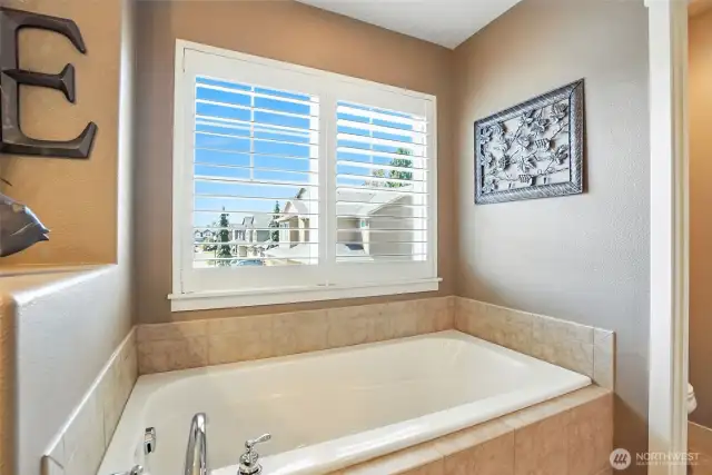 Primary Bath Soaking Tub
