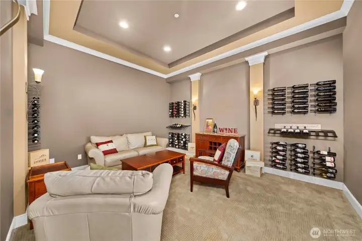 Lower level extra finished room with media connection and blackout shade