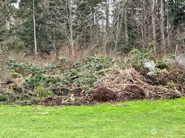 Green debris dump area