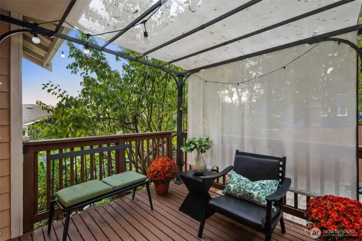 Backyard deck with fruit trees