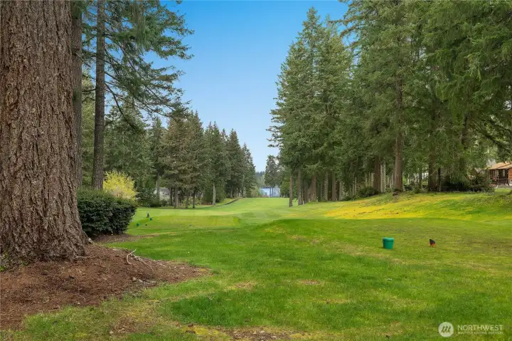 Golf course - step out and play! Golf course - step out and play!