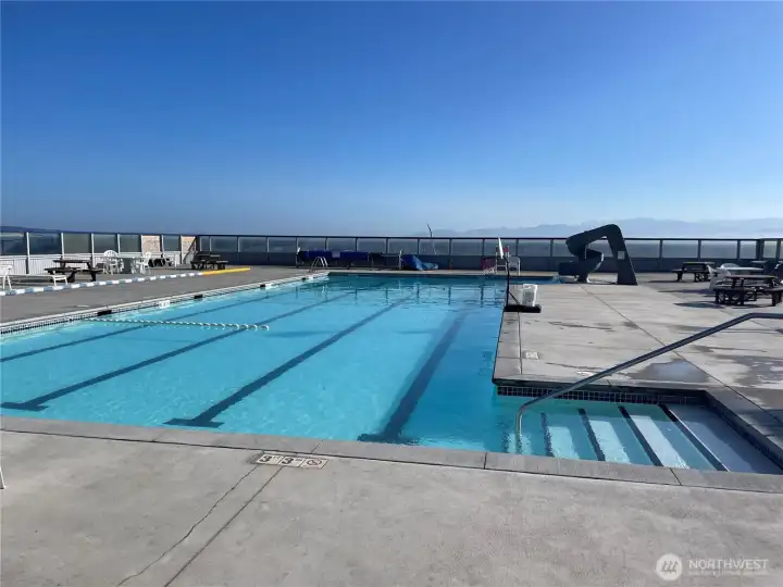 Community pool