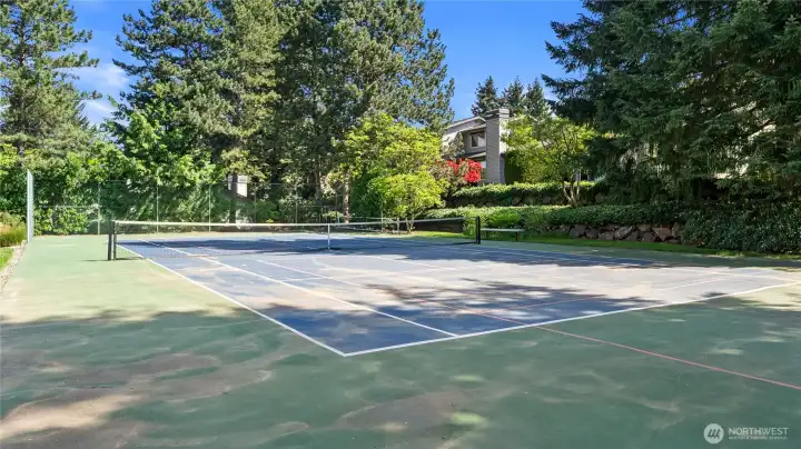 Convenient Sport Court for Tennis or Pickle Ball
