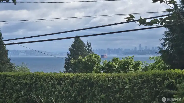 City of Seattle View