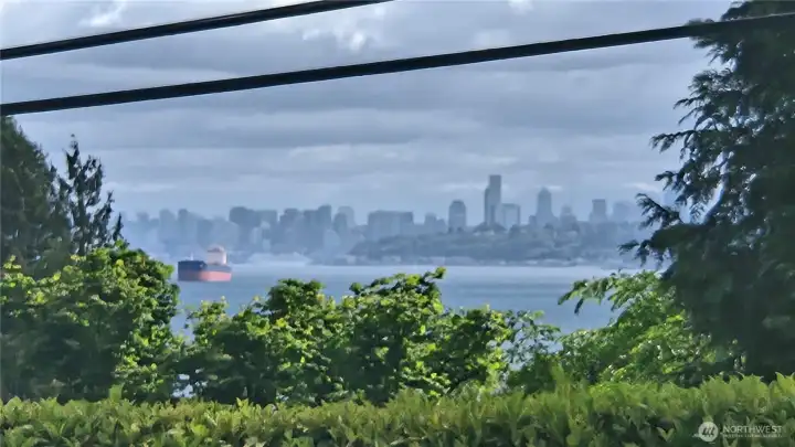 City of Seattle view.