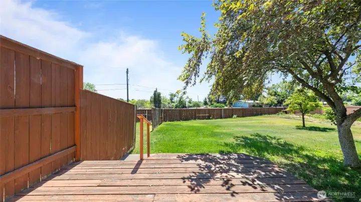 996 - View of yard from deck