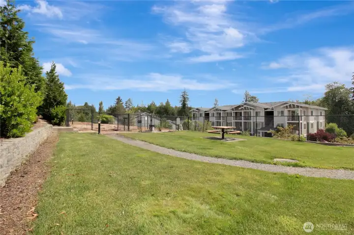 Park close by with fenced dog area. . .