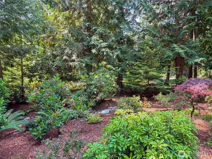 But more than that, the incredibly beautiful gardens. Low maintenance. But more than that, the incredibly beautiful gardens. Low maintenance.