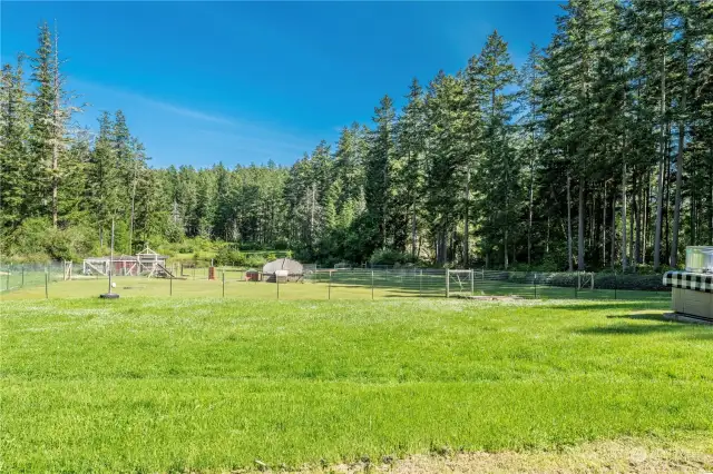 Open lawn with so many possibilities--garden space, or pickel ball court???