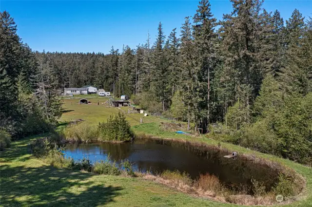 Peaceful pond