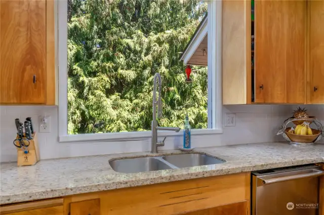 Granite counters, undermount sink