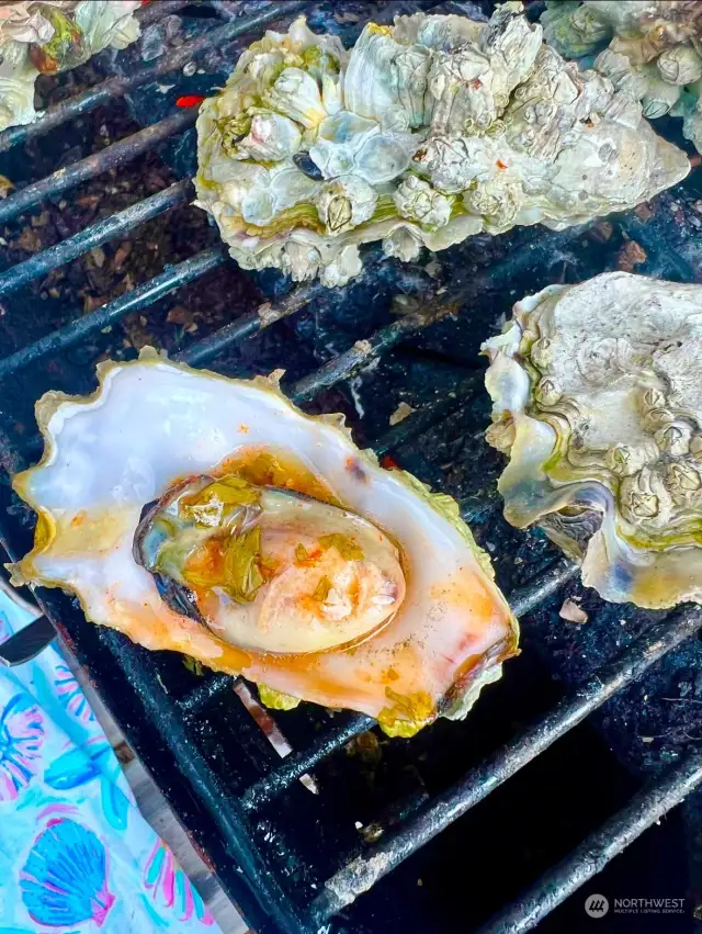 Oysters from Tidelands