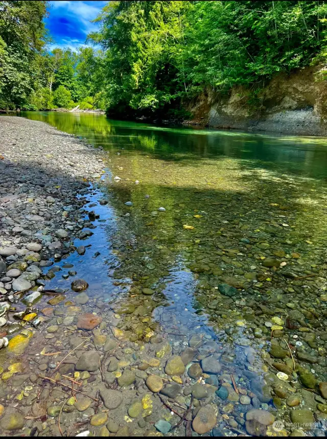 Duckabush River just a few minutes away