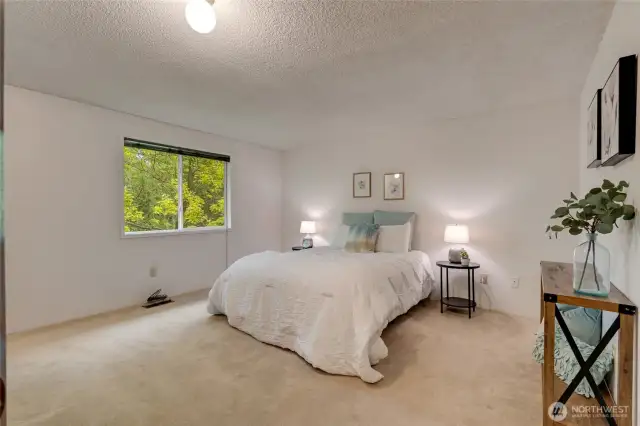 Lower Level Bedroom #2