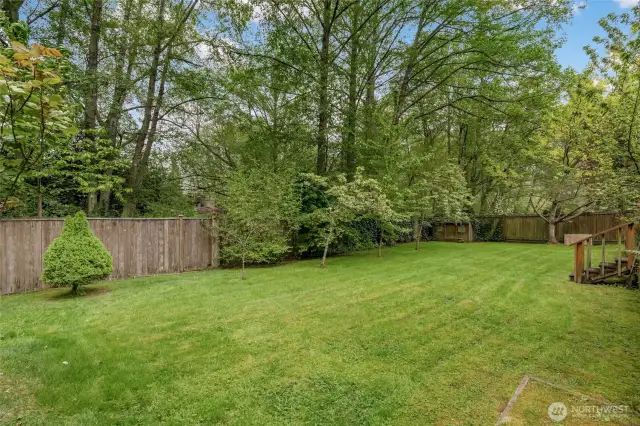 Spacious, fully-fenced backyard