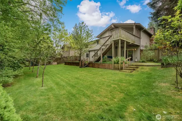 Lovely lawn in backyard