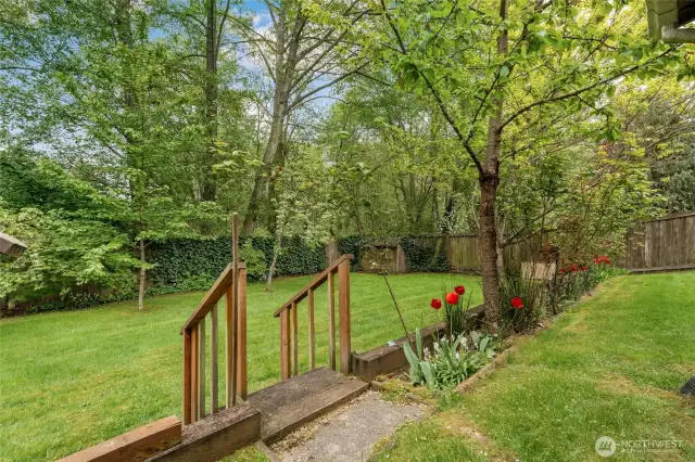 Backyard steps down