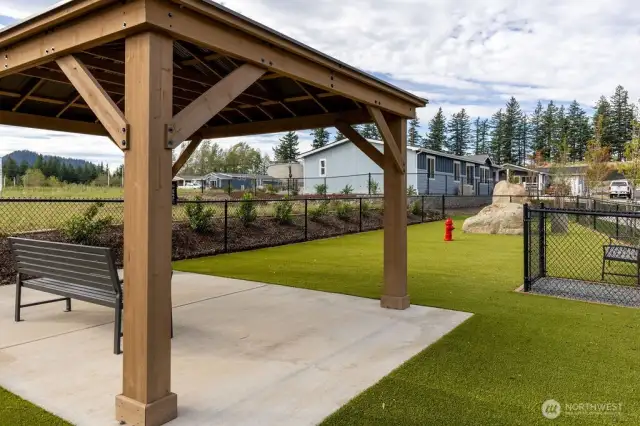 Dog park