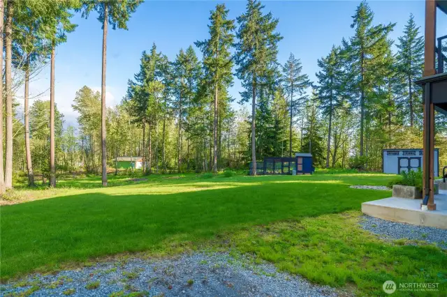 expansive lawn