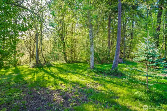Trees and privacy