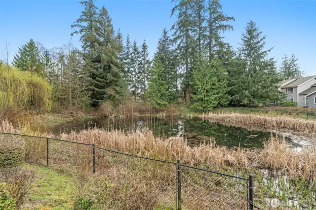 Stonebridge Pond