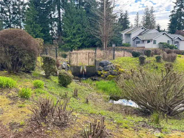 Pond/Creek