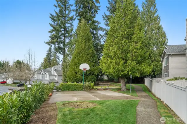 Sports Court