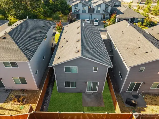 Photo edited to show the installation of sod.