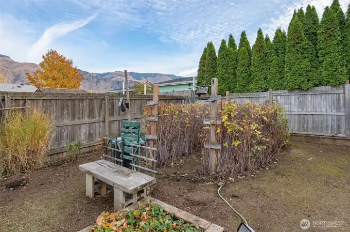 Berry garden in the fenced back yard. Irrigation water is present on the property.