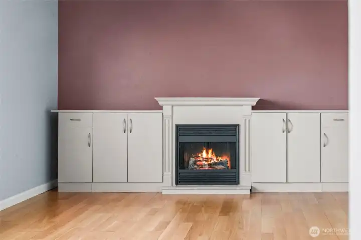 Electric fireplace to keep it cozy