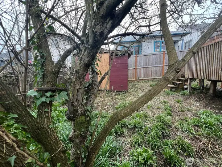 Back yard and outbuilding