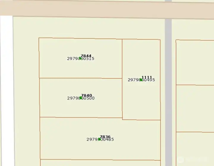 Assessor's Map view of lot (1111) with 80th at the top and alley along the east/left side of the lot.